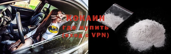 гашик Белоозёрский