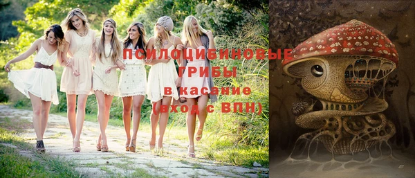наркотики Белокуриха