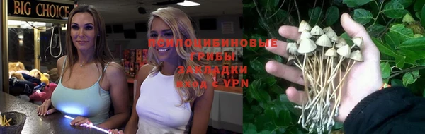 наркотики Белокуриха