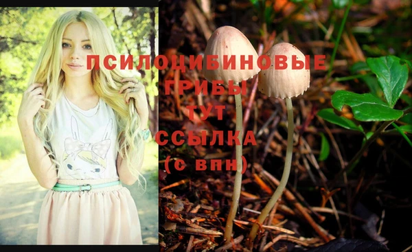 гашик Белоозёрский