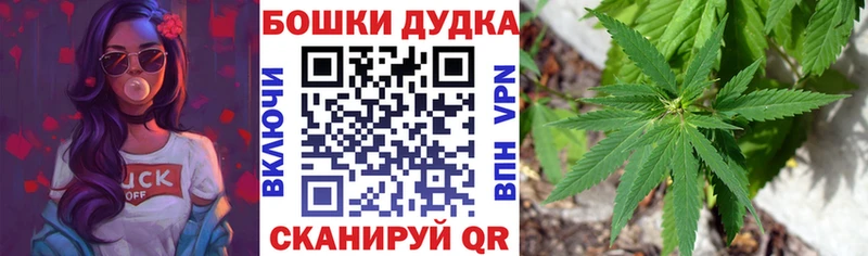 Шишки марихуана гибрид omg ТОР Городовиковск